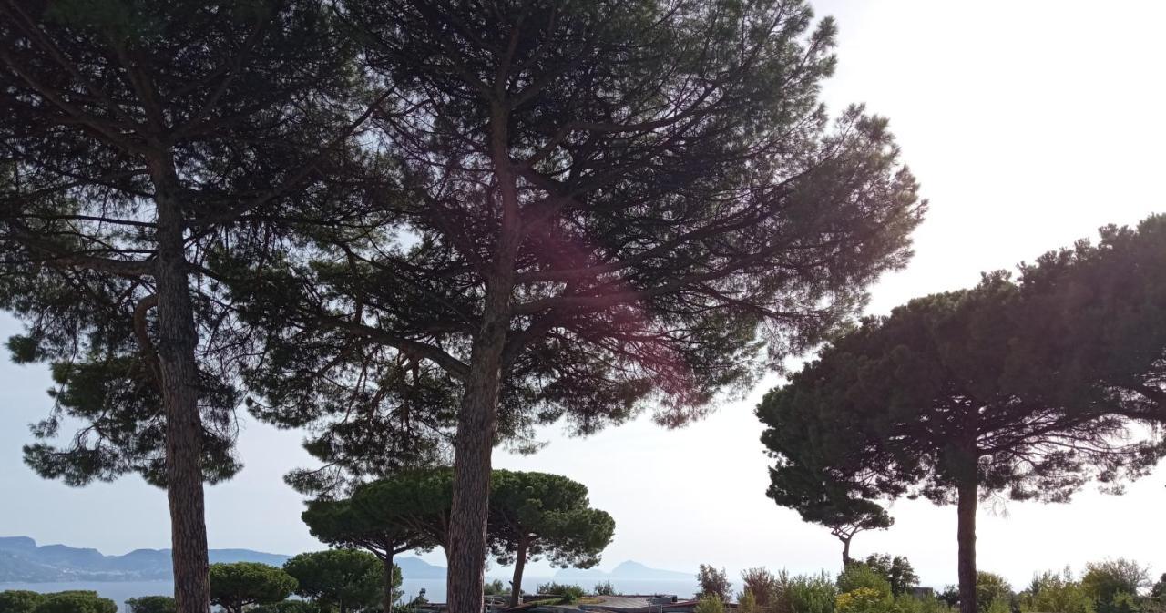Vesuvio Casa de Charme Bed and Breakfast Trecase Exterior foto